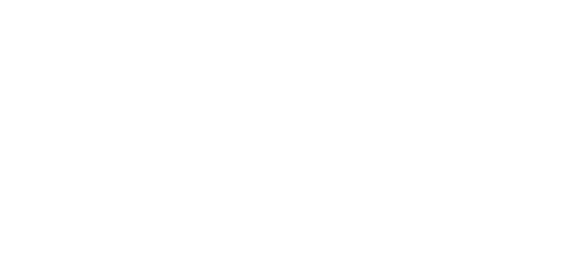 MAX USA